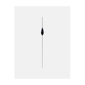 Maver galleggiante Carbo Match